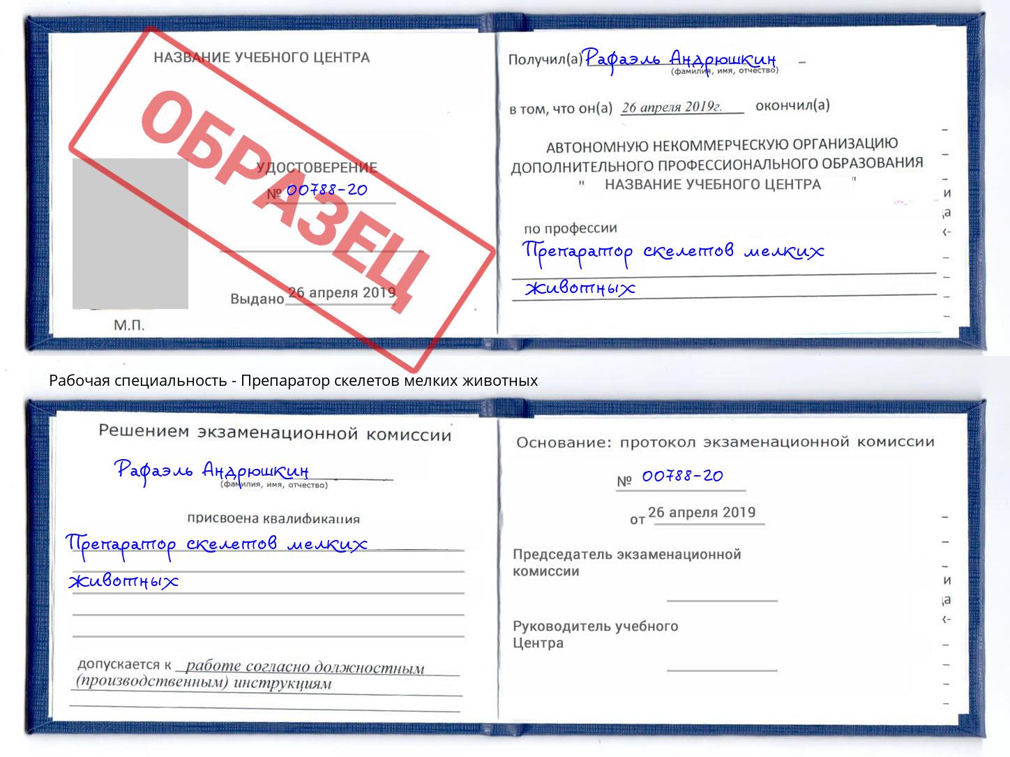 Препаратор скелетов мелких животных Котлас