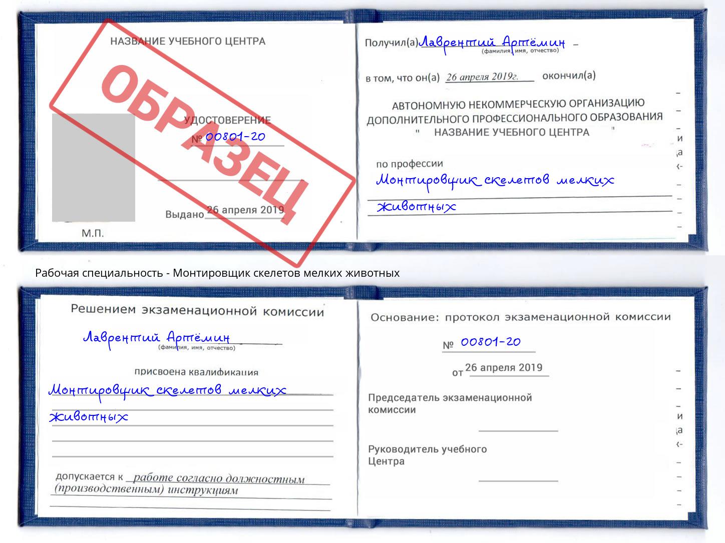 Монтировщик скелетов мелких животных Котлас